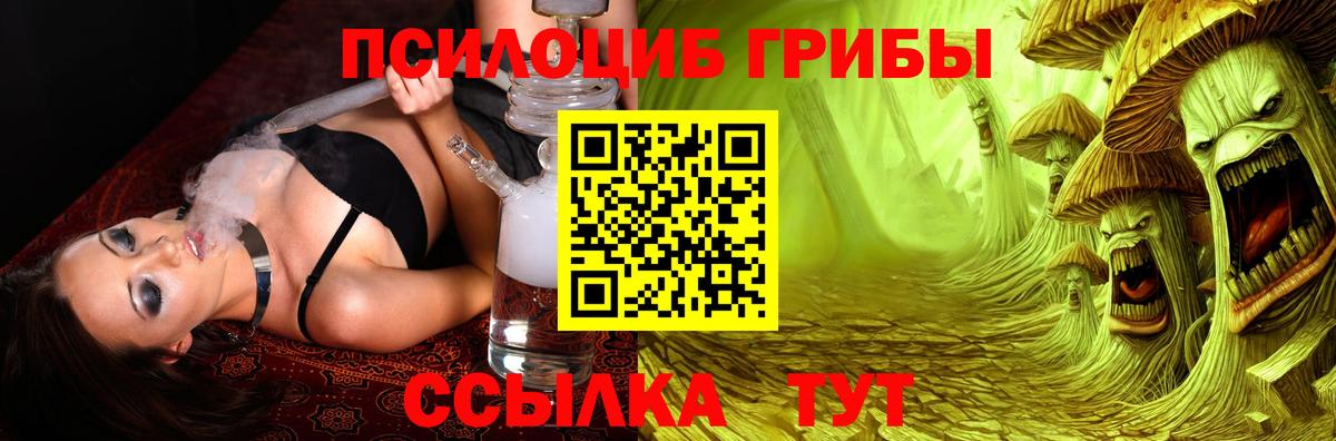 где найти наркотики  Галлюциногенные грибы GOLDEN TEACHER  Вход с VPN  Мелеуз  Галлюциногенные грибы мухоморы 